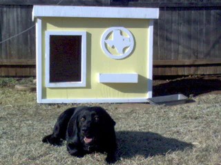 LadyBird - Texas